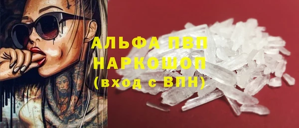 ECSTASY Вяземский