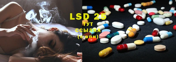 прущие крисы Ельня