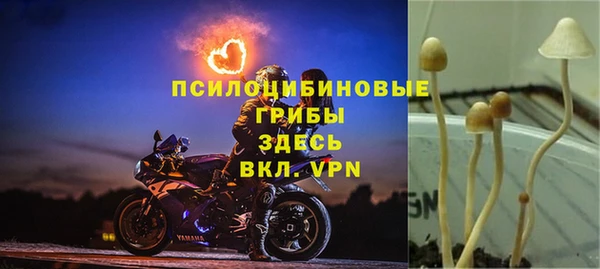 стаф Вязники