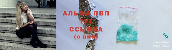 соль ск Дмитриев