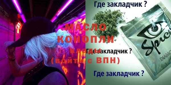 первитин Гусев